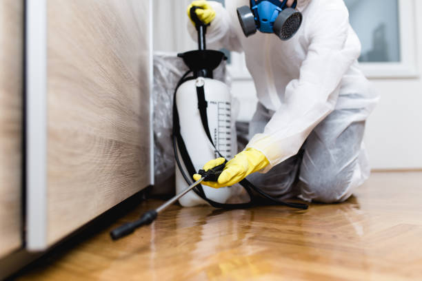 Best Pest Control Treatment  in Manhattan Beach, CA