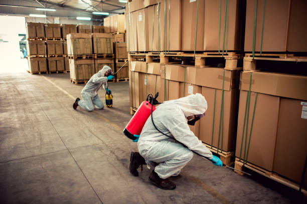 Best Wildlife Control Services  in Manhattan Beach, CA