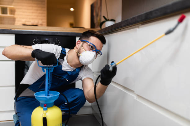 Best Ant Control Services  in Manhattan Beach, CA