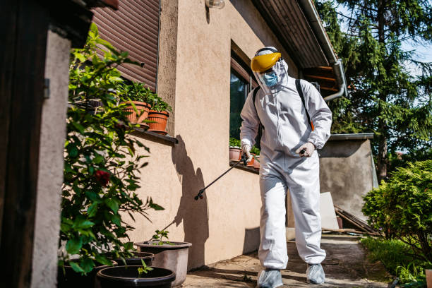Best Rat Extermination Near Me  in Manhattan Beach, CA