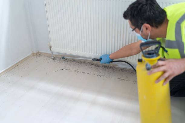 Best Flea Control Services  in Manhattan Beach, CA